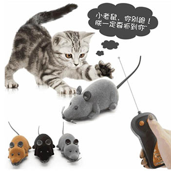 宠物玩具ce认证